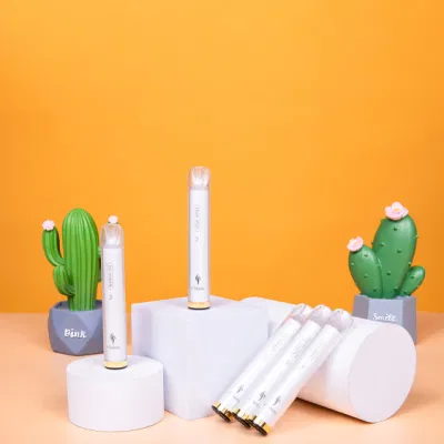  Mini E-Cigarette Stater Kit Disposable Vape Etaboo E Hookah Charger 1000 Puff Custom Vaporizer with Fast Shipping