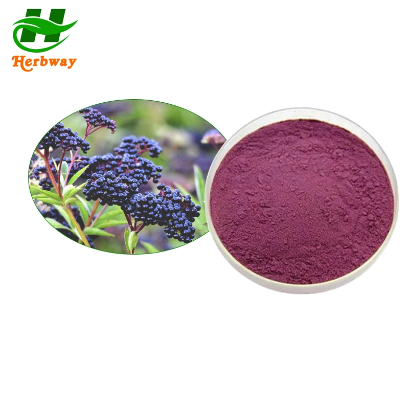 Herbway Free Sample Blue Honeysuckle Fruit Powder Anthocyanidin Anthocyanin Haskap Berry Juice Powder Indigo Powder