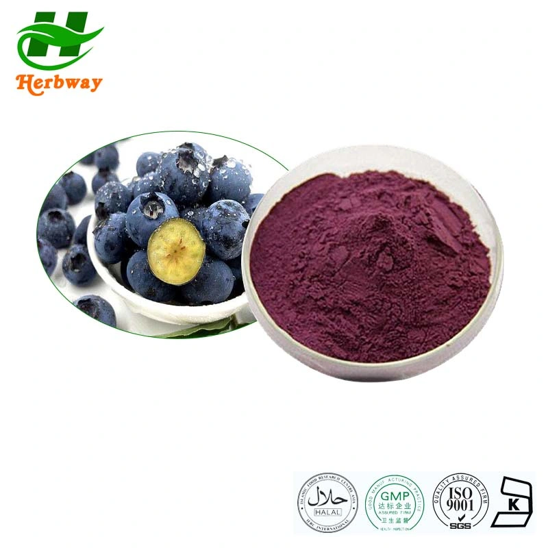 Herbway Free Sample Blue Honeysuckle Fruit Powder Anthocyanidin Anthocyanin Haskap Berry Juice Powder Indigo Powder