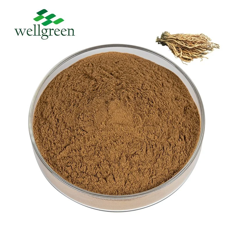 Wellgreen Factory Wholesale Natural Organic Extract Truq Blue Fabric Dyestuffs Indigo Powder