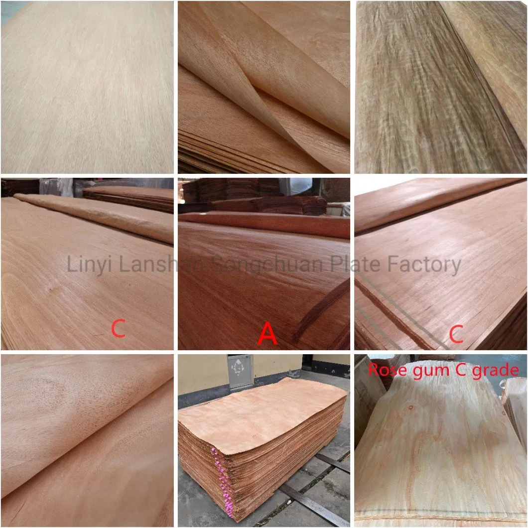Fast Delivery Good Quality Beech Veneer Plb Face Veneer for Furniture Usage Veneer Wood with Cheap Price Vietnam Manufacturer