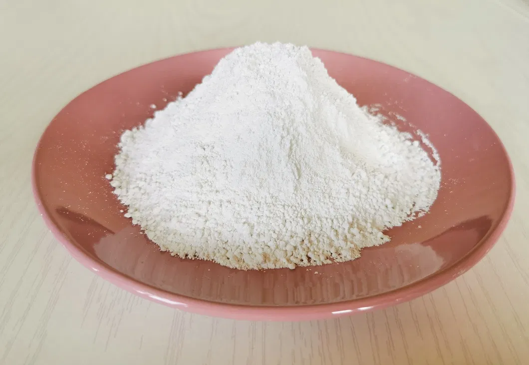 Wholesale Price of White Pigment Titanium Dioxide Plastic/Paint/Rubber/Ink Dye TiO2