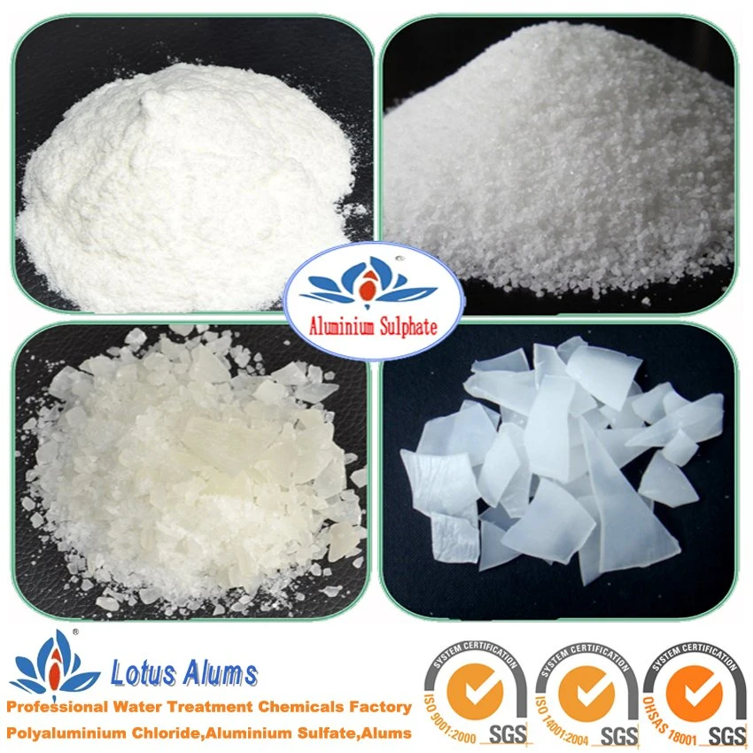 Industrial Grade Aluminum Sulfate as a Dye in Paper Making