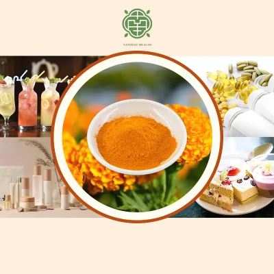 Nanqiao Natural Zeaxanthin Organic Plant Herbal Extract Orange Color Powder Natural Food Colorants Zeaxanthin