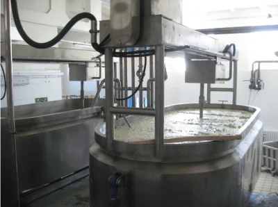 500L queso Mozzarella Iva máquina de hacer el queso cuajada de queso blanco suave que hace la máquina