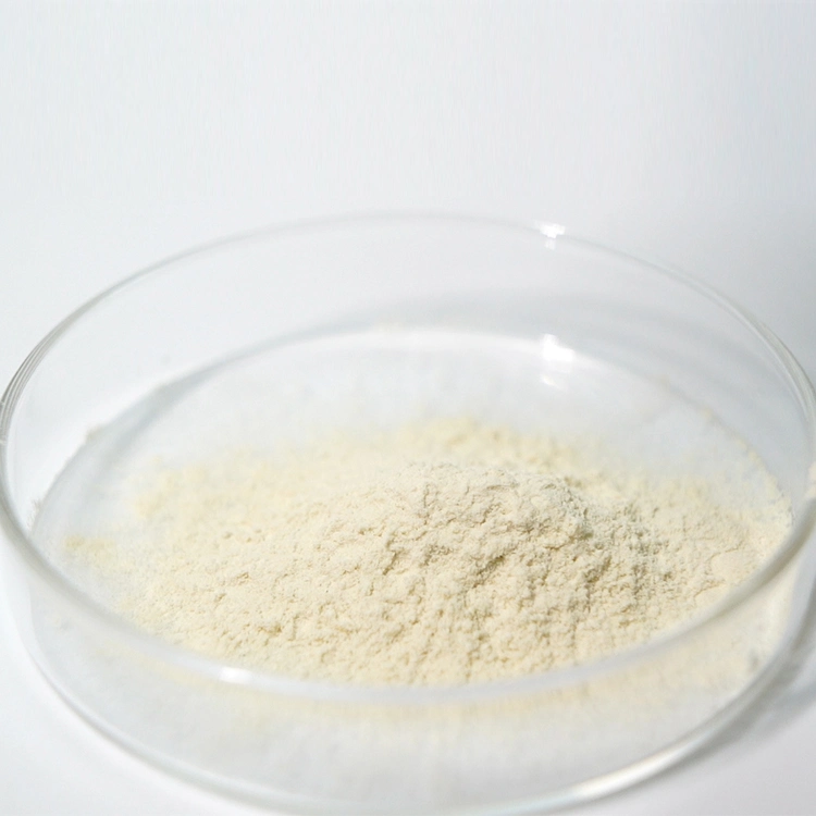 Africa Low Price Food Grade Guar Gum Powder Wholesales Price