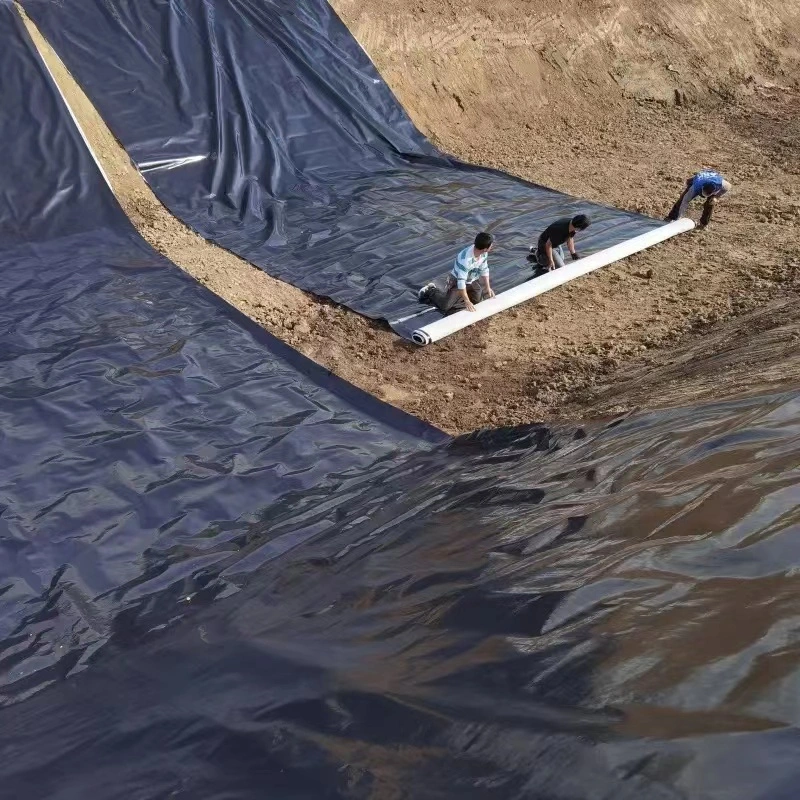 Sewage Tank Lining with HDPE Geomembrane for Chemical Plants