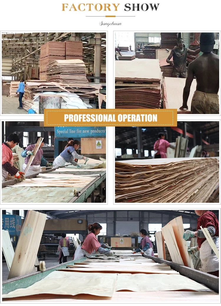 Fast Delivery Good Quality Beech Veneer Plb Face Veneer for Furniture Usage Veneer Wood with Cheap Price Vietnam Manufacturer