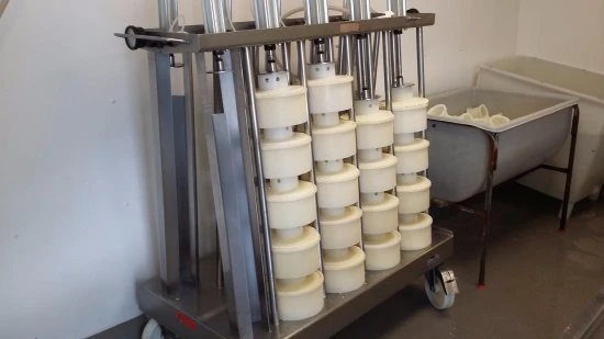 2, 4, 6, 8, 10, 12, 18 Multihead Cheese Press