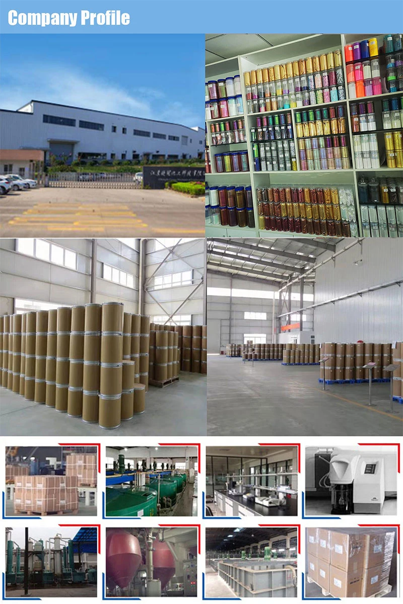 Hot Sale Glow in The Dark Pearlescent Pigment for Paint Coating