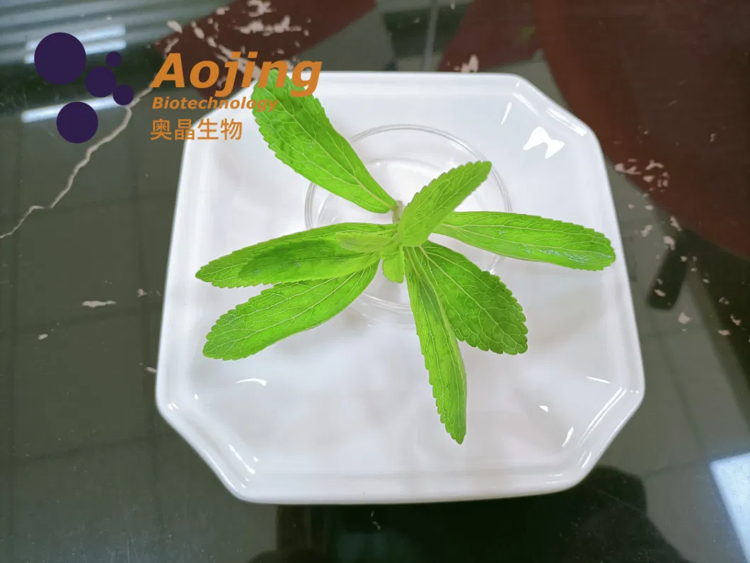 100% Pure Natural Food Ingredient Additive Chemicals Organic Sweetener Stevia Ra98% Competitive Price