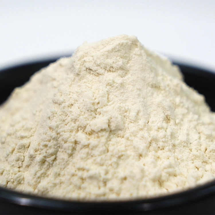 Hot Sales Factory Price Food Grade Additive Guar Gum Powder