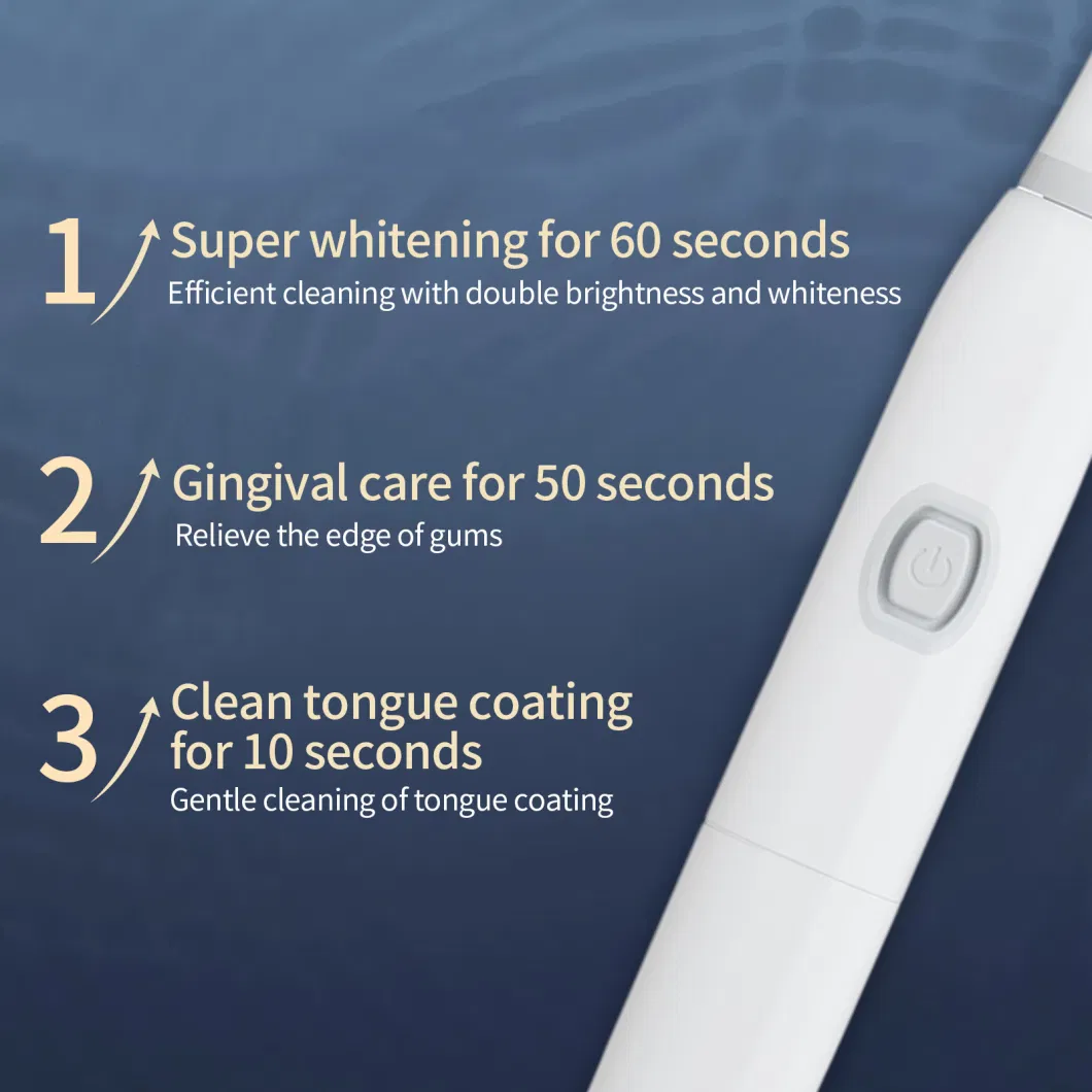 Wholesale Fast Delivery USB Rechargeable Electric Toothbrush