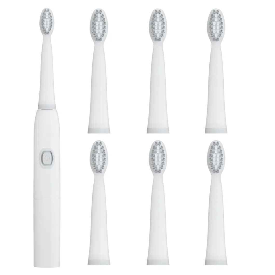 Wholesale Fast Delivery USB Rechargeable Electric Toothbrush