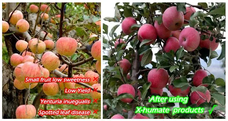 Sodium Humate Soluble Humic Acid Powder