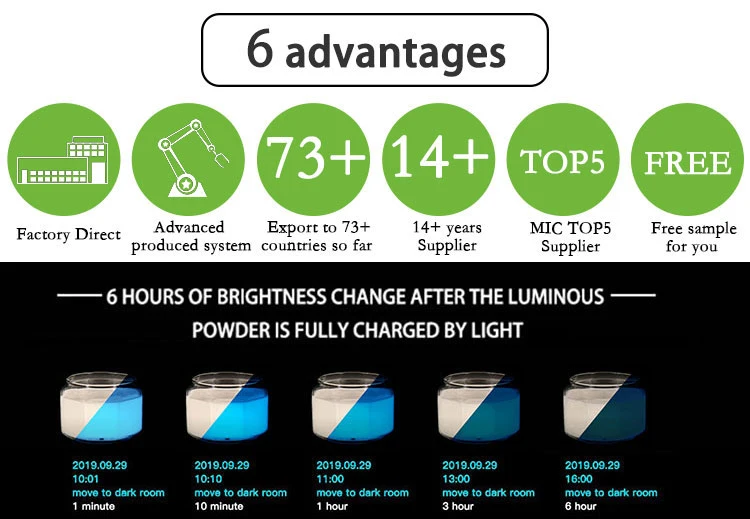 Blue Green Photoluminescent Luminance Powder Pigment 15-35um for Coating