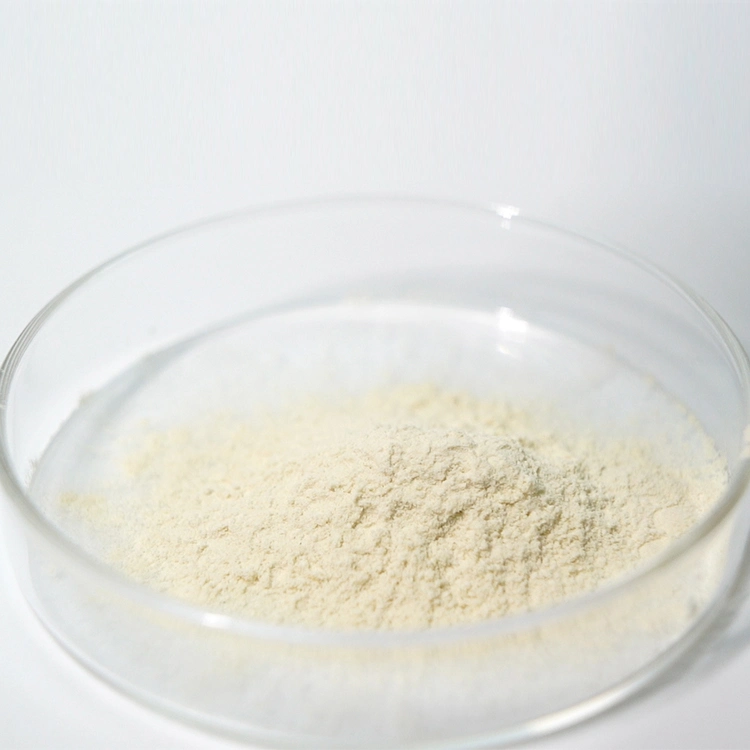 Hot Sales Factory Price Food Grade Additive Guar Gum Powder