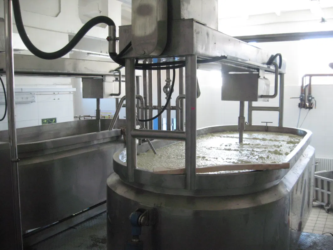 200kg/h-500kg/hr Cheese making machine Cheese Vat QUTUS /Mozzarella cheese processing machinery