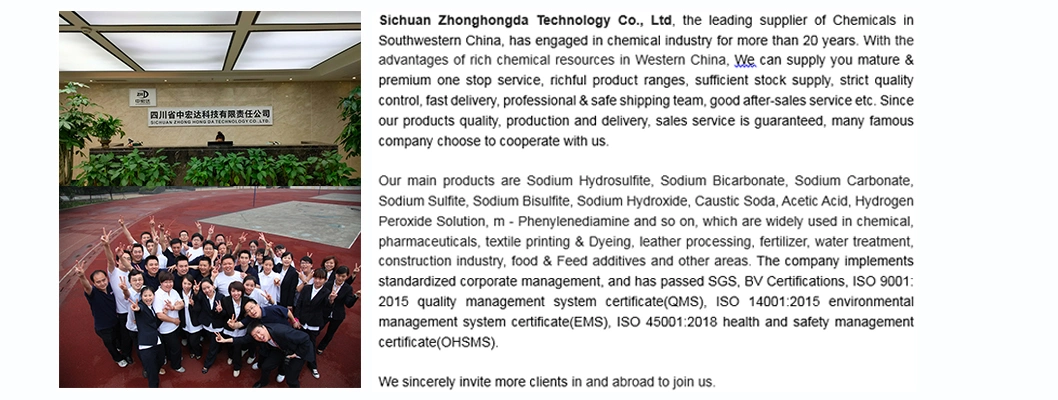 China Chemical Manufacturer Na2s2o4 CAS 7775-14-6 Sodium Hydrosulfite 90% Price
