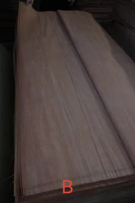 Consegna rapida Faggio di buona qualità impiallacciatura di faggio per Uso di mobili legno di impiallacciatura con prezzo a buon mercato Vietnam Produttore