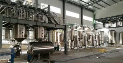 Produttore fornitura di estratto di anice puro naturale per anti-ulcera