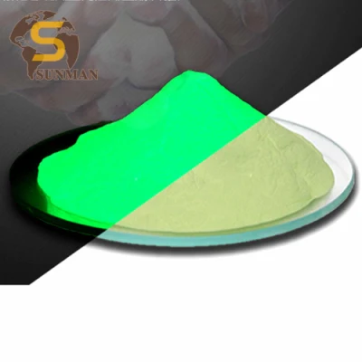 Lunga durata Glow in the Dark Powder per la stampa su schermo Pigmento