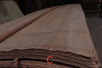 Consegna rapida Faggio di buona qualità impiallacciatura di faggio per Uso di mobili legno di impiallacciatura con prezzo a buon mercato Vietnam Produttore