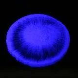 Stronzio alluminato fotoluminescenza Pigment Glow in the Dark Powder for Luminous Plastic, Paint, Ink, etc