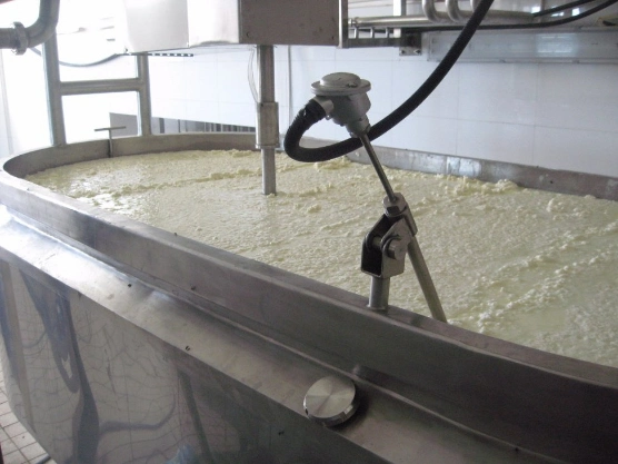 Complete fresh milk making Cheese Processing Machine