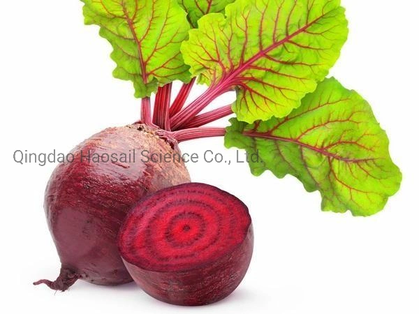 Organic Red Color Beetroot Extract Red Colour Beet Root Powder