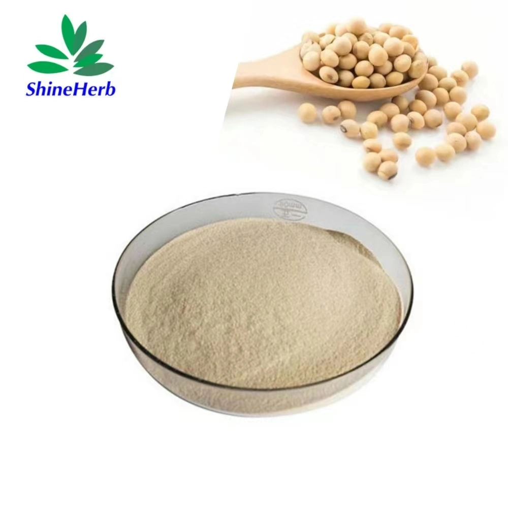 Soybean Extract Natural Non-GMO Soy Lecithin Powder Phospholipid