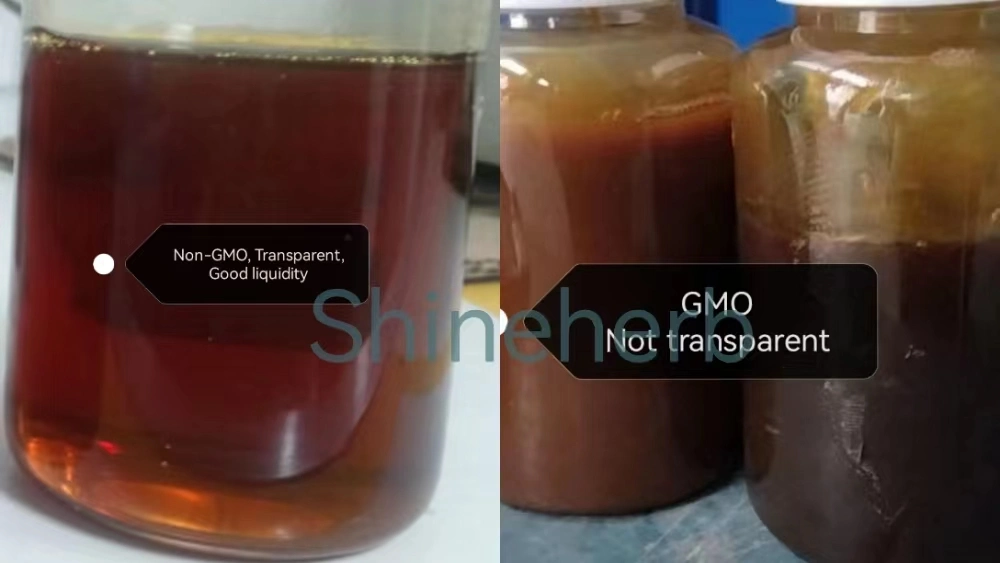 Soybean Extract Natural Non-GMO Soy Lecithin Powder Phospholipid