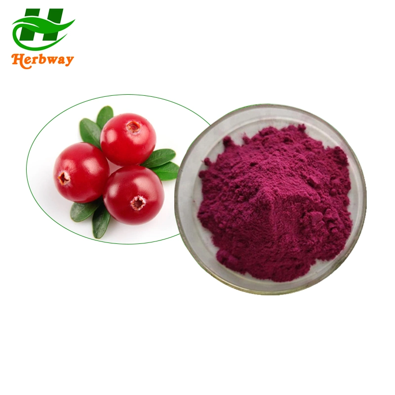 Herbway Free Sample Blue Honeysuckle Fruit Powder Anthocyanidin Anthocyanin Haskap Berry Juice Powder Indigo Powder