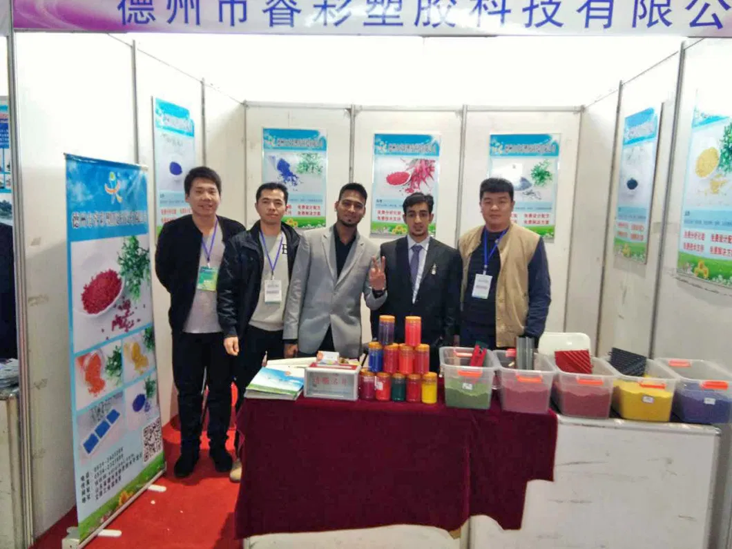 China Factory Supply The Colorant Pigment En Plastique