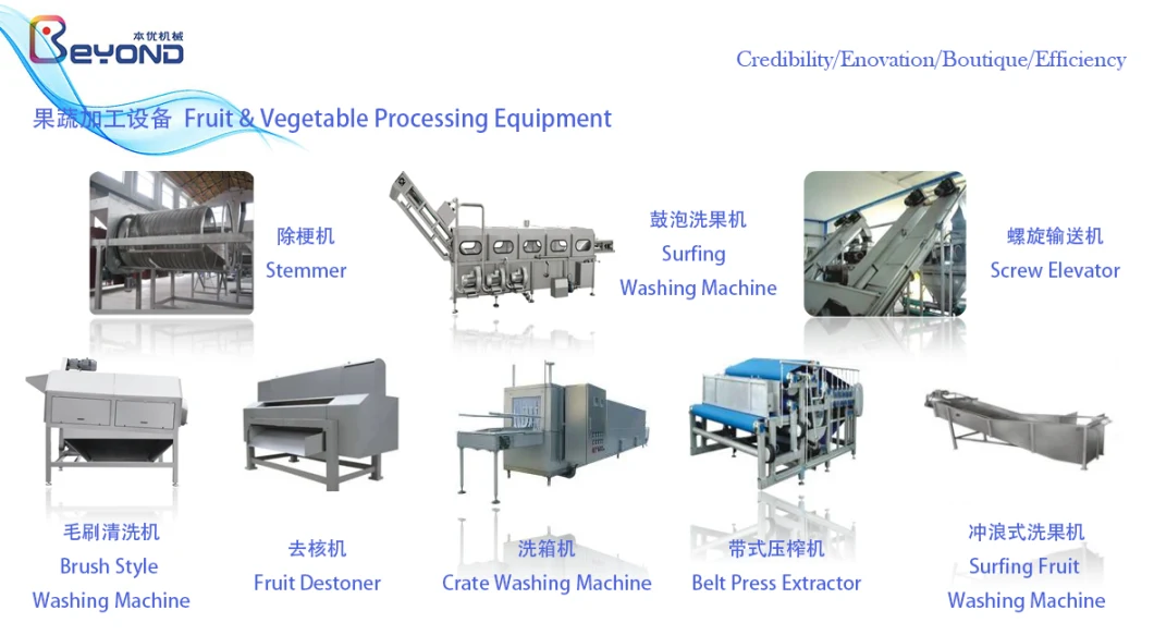 Complete fresh milk making Cheese Processing Machine