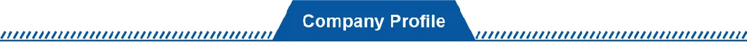 Fine Particle Size Titanium Dioxide Pigment