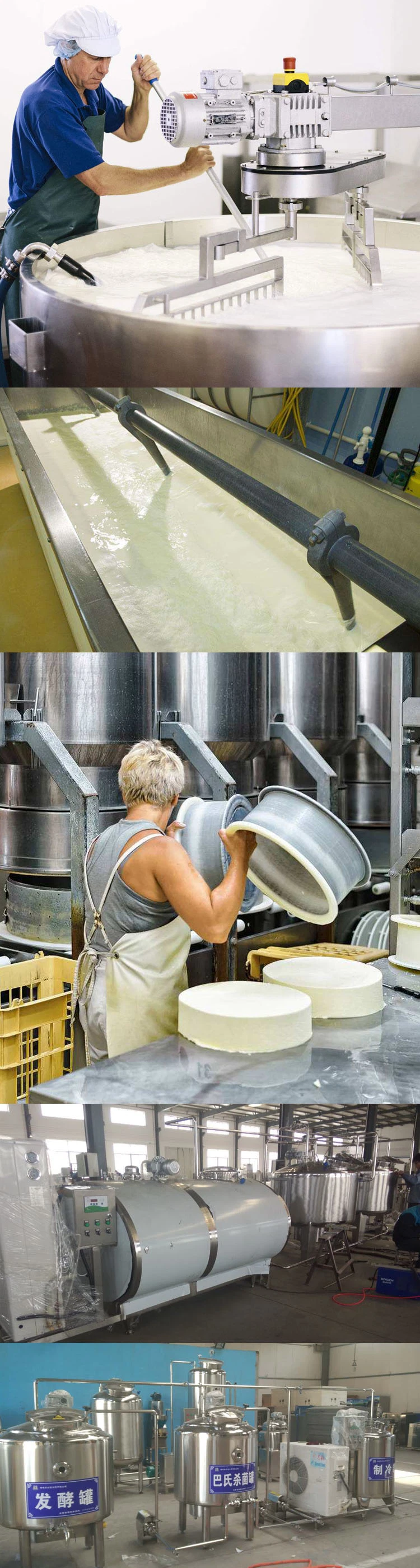 304 Stainless Steel Round Shape Cheese Vat