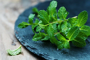 Peppermint Leaf Powder Peppermint Extract Powder