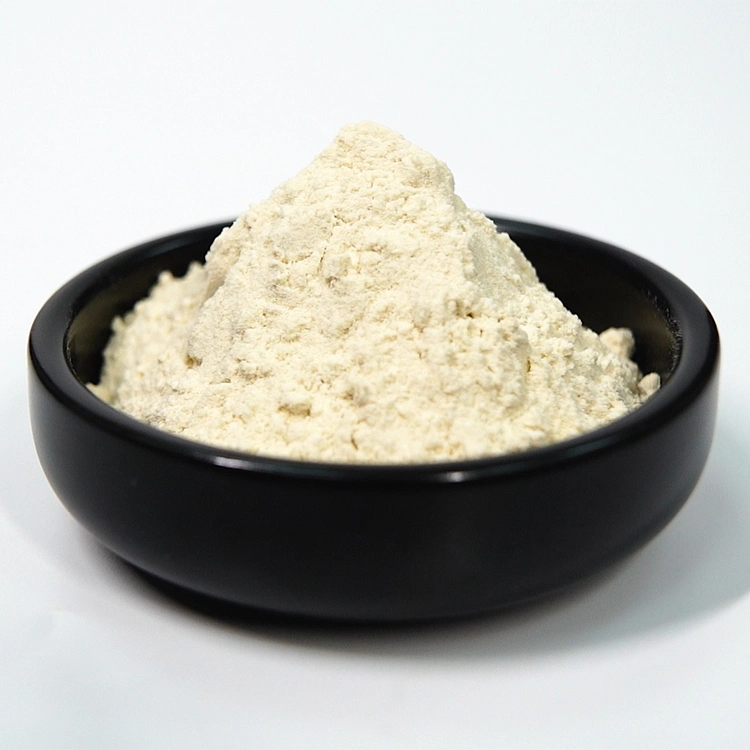 Hot Sales Factory Price Food Grade Additive Guar Gum Powder
