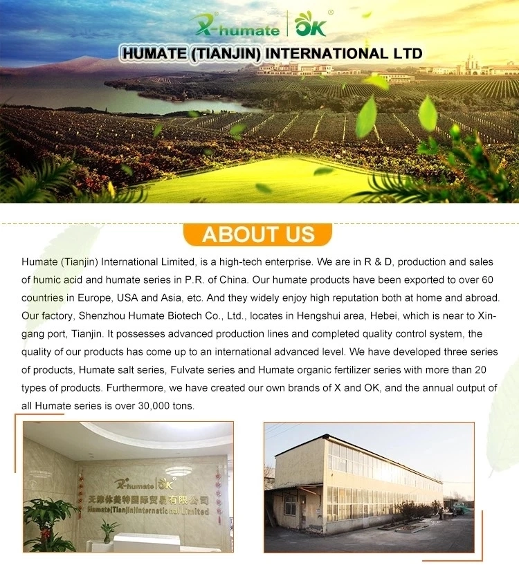 Sodium Humate Soluble Humic Acid Powder