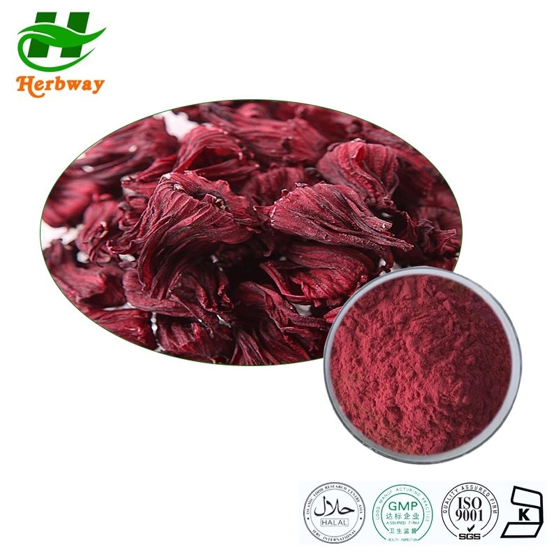 Hibiscus Sabdariffa Extract 5%-25%Anthocyanidins Hibiscus Flower Extract Natural Pigment