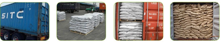 Super Grade Leonardite Feed Additives Sodium Humate Shiny Flake with Low Price Best Quality