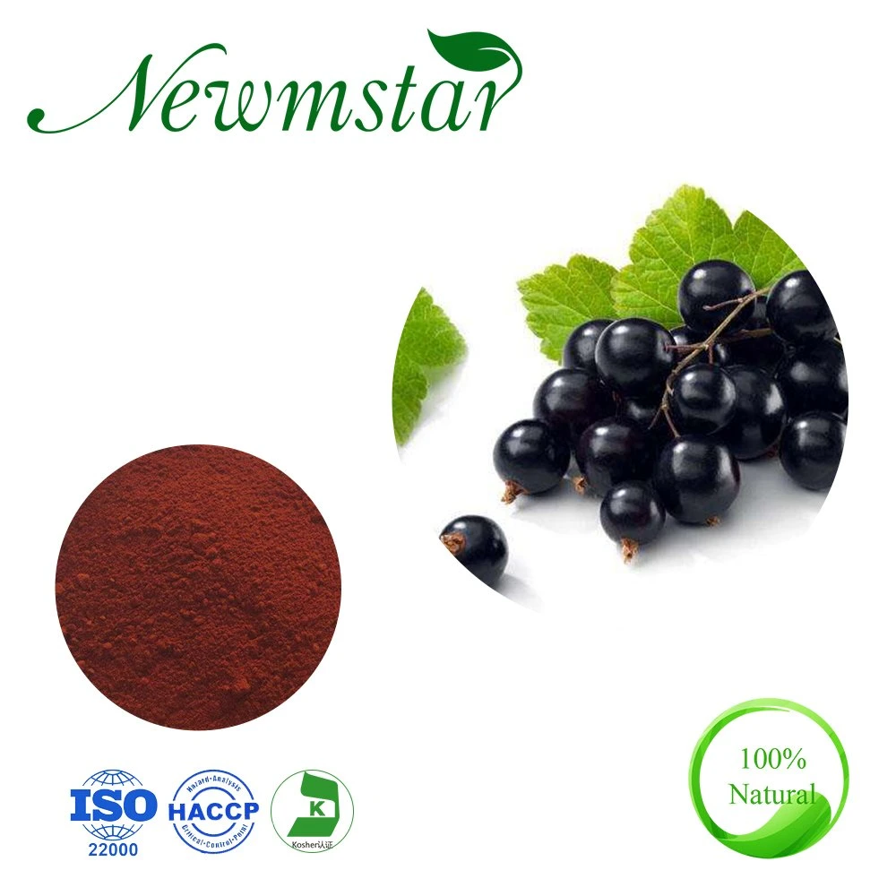 100% Natural Black Currant Fruit CAS No.: 84082-34-8 Black Currant Fruit Extract