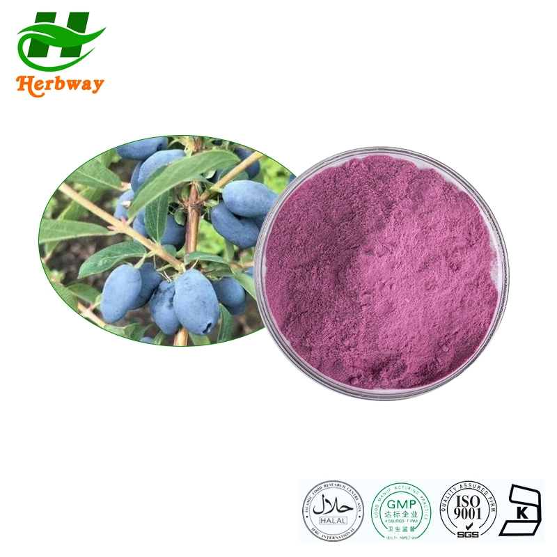 Herbway Free Sample Blue Honeysuckle Fruit Powder Anthocyanidin Anthocyanin Haskap Berry Juice Powder Indigo Powder