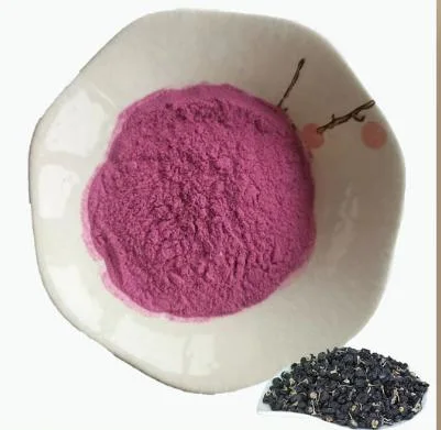 Natural Anthocyanidins 25% Black Goji Berry Wholesale Elderberry Fruit Extract Powder