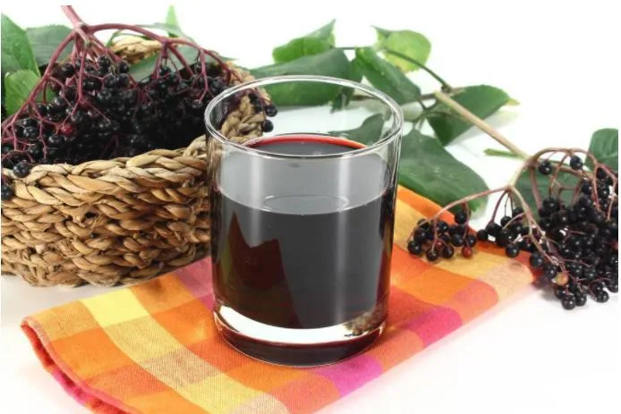 Health Supplement Sambucus Nigra L Extract Anthocyanin Black Elderberry