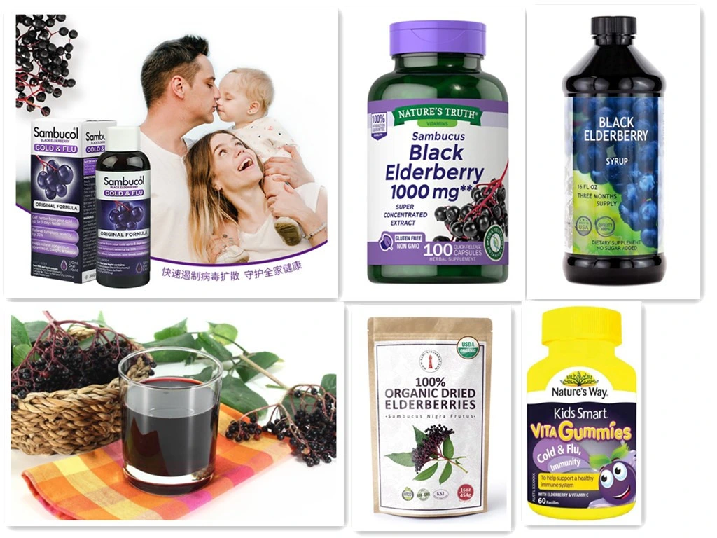 Health Supplement Sambucus Nigra L Extract Anthocyanin Black Elderberry