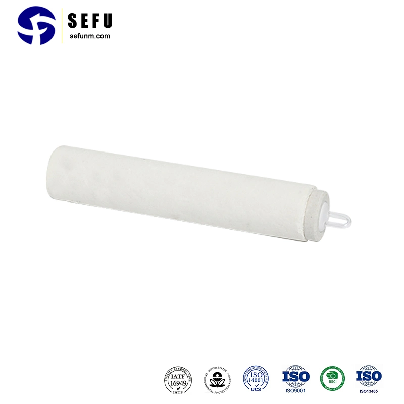 Sefu Temperature Controller Thermocouple China Thin Thermocouple Supplier Metallurgy Type B R S Wearable Immersion Disposable Consumable Thermocouples Head