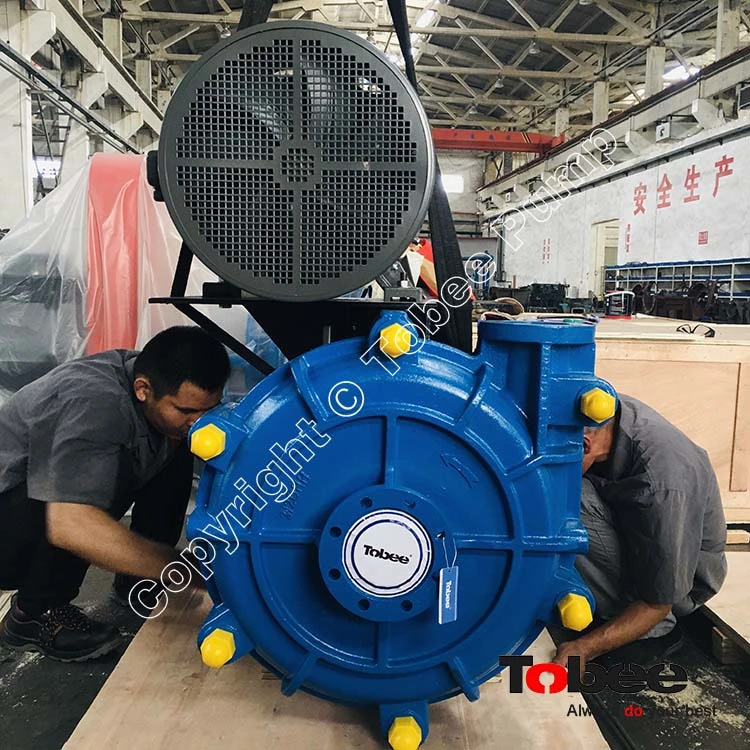 Tobee 3X2D-HH Centrifugal Slurry Pump for Long Distance Transport Lines Higher Head