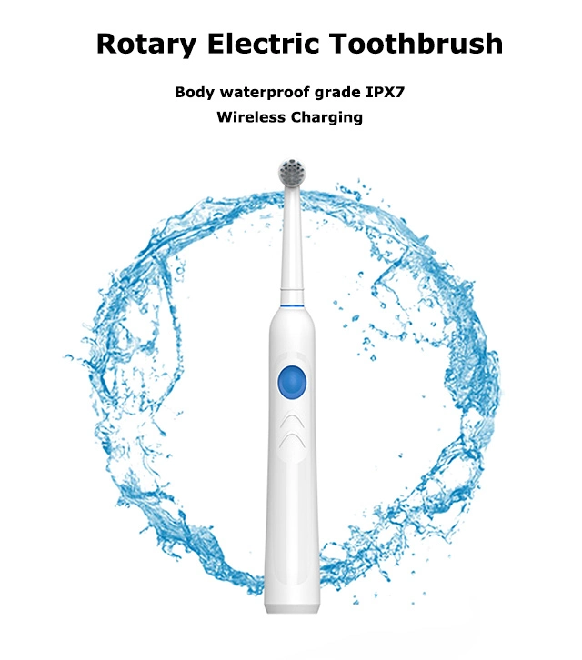 Rechargeable Rotate Sonic Electric Toothbrush Round Head